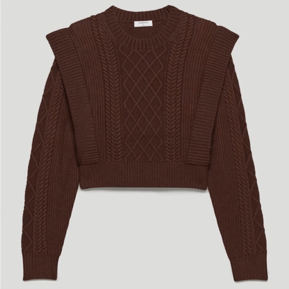 nwot Babaton Seek sweater XL coffee bean